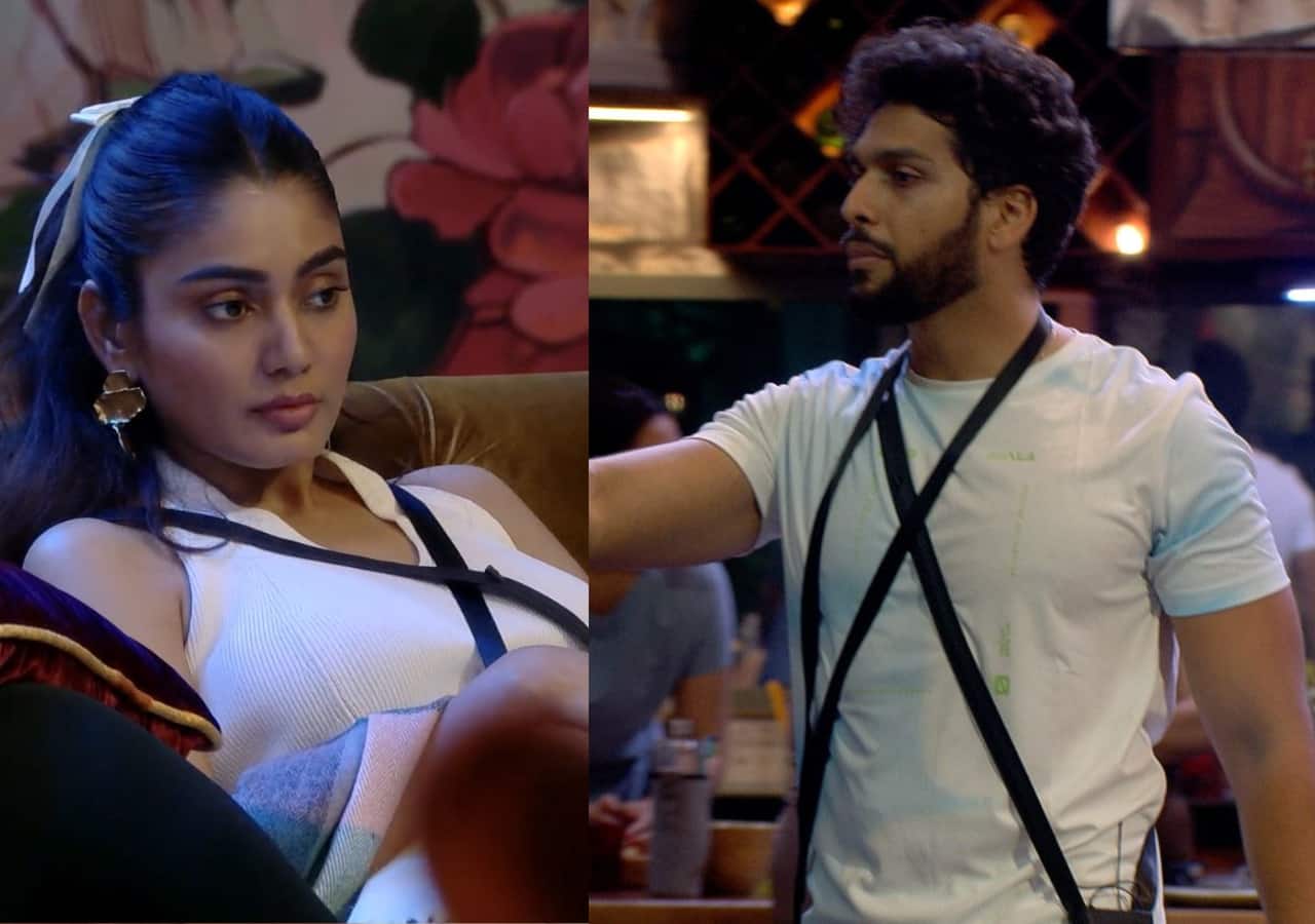 Bigg Boss OTT 3: Sai Ketan Rao and Sana Makbul get into a massive fight over food; Imlie actor asks Shivani Kumari to stay out of it [WATCH]