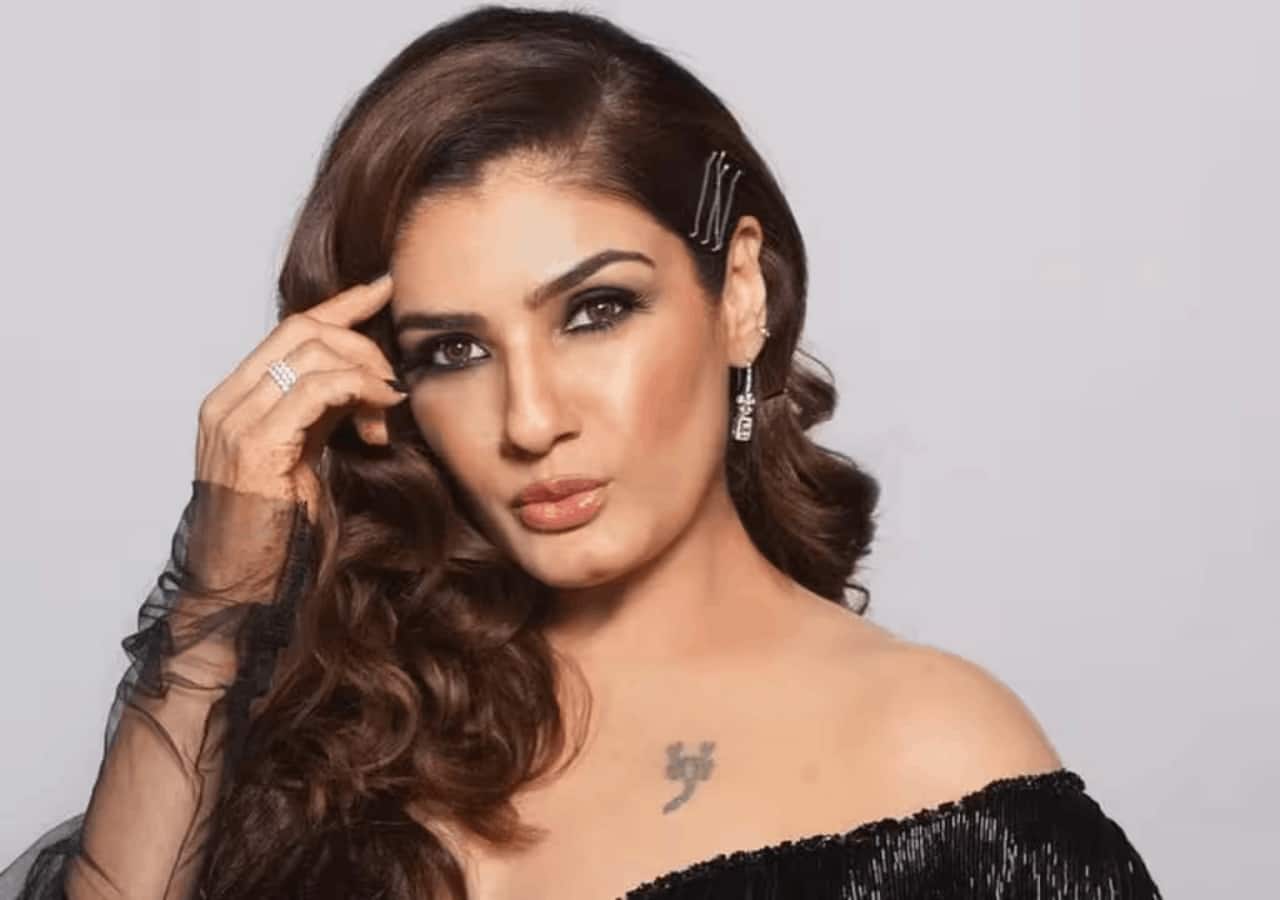 Raveena Tandon car case: Police shares big update after actress’ video goes viral; ‘We don’t have written complaints’